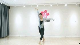 成人舞蹈教学视频大全,轻松入门，舞动人生