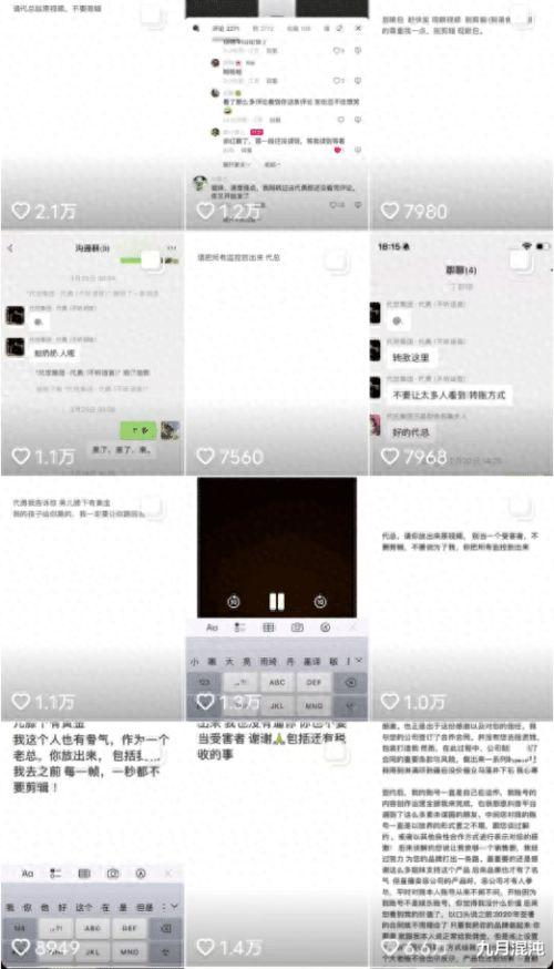 成人an视频,探索成人an视频背后的故事与启示