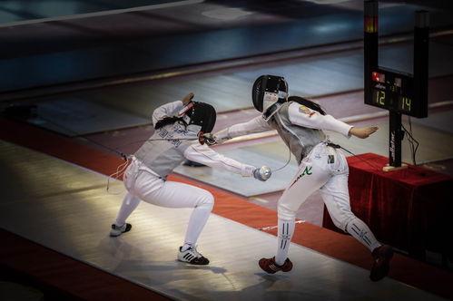 成人击剑怎么学视频