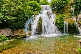 成人高山流水视频在线,一场心灵之旅