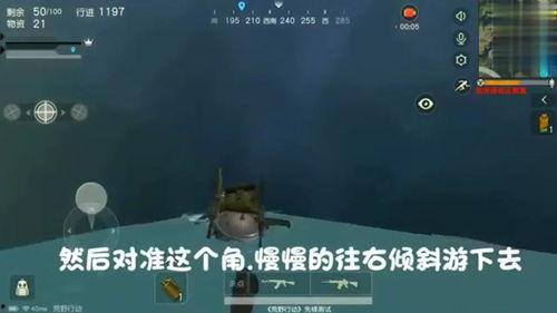 成人石头游戏怎么玩视频,轻松掌握成人版玩法