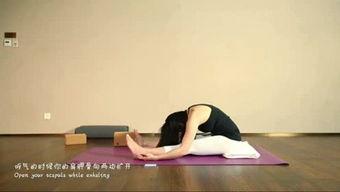 成人被动瑜伽动作视频,跟随视频轻松掌握成人被动瑜伽动作