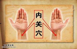 成人胃扭转复位视频讲解,操作步骤与注意事项