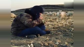 变成人的羊羊视频,一场奇幻的变身之旅