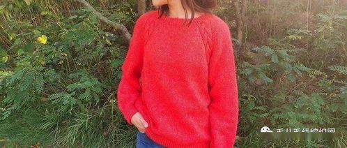 成人女生毛衣教程视频,跟随视频教程，打造专属你的成人女生毛衣