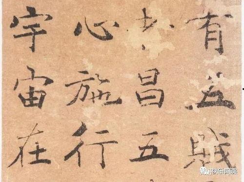 成人学书法方法视频,跟随视频轻松掌握成人学书法技巧