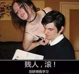 成人a在线a视频,探索成人A在线A视频的奥秘与影响