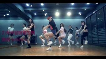 成人学跳舞教学视频大全,成人学舞视频大全精选解析