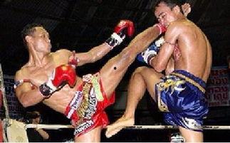 成人搏击短裤视频教程,跟随视频教程提升你的格斗能力