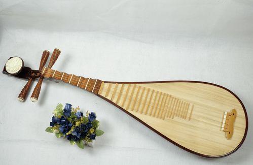 琵琶乐器成人初学视频,初学者必看成人琵琶学习视频攻略