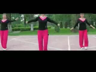 成人广场舞教学慢视频,轻松掌握成人广场舞教学技巧